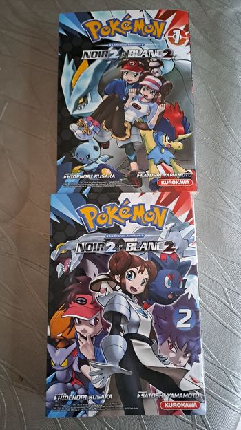 Lot de 2 mangas Pokémon Noir2 et Blanc2