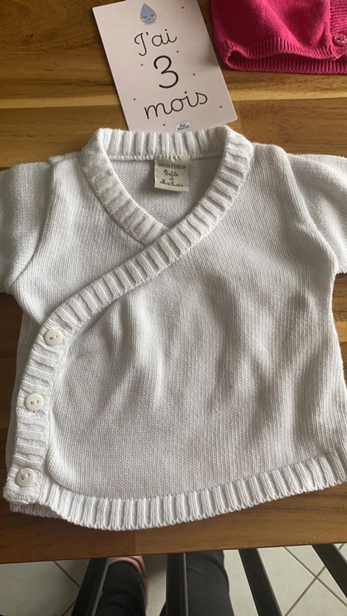 Lot de 3 gilets - photo numéro 6