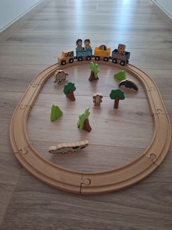 Circuit puzzle safari