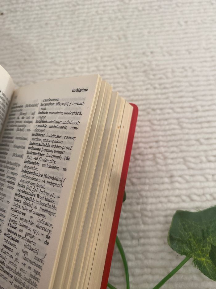 Dictionnaire français /anglais - photo numéro 3