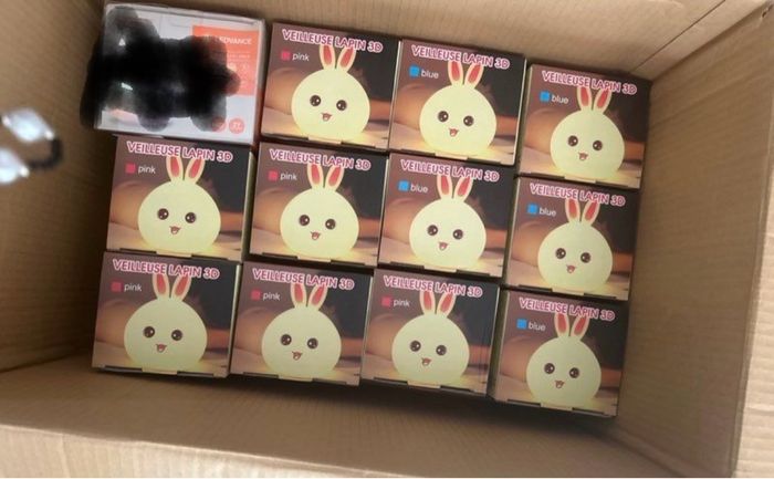 Lot de 11 veilleuses lapin neuves rechargeables