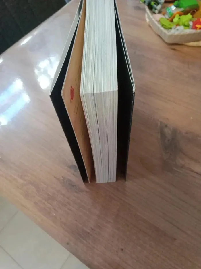 Livre histoire du soir - photo numéro 16