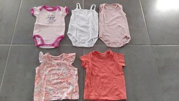Lot 6 - bodys et tee-shirts fille en 3-6 mois