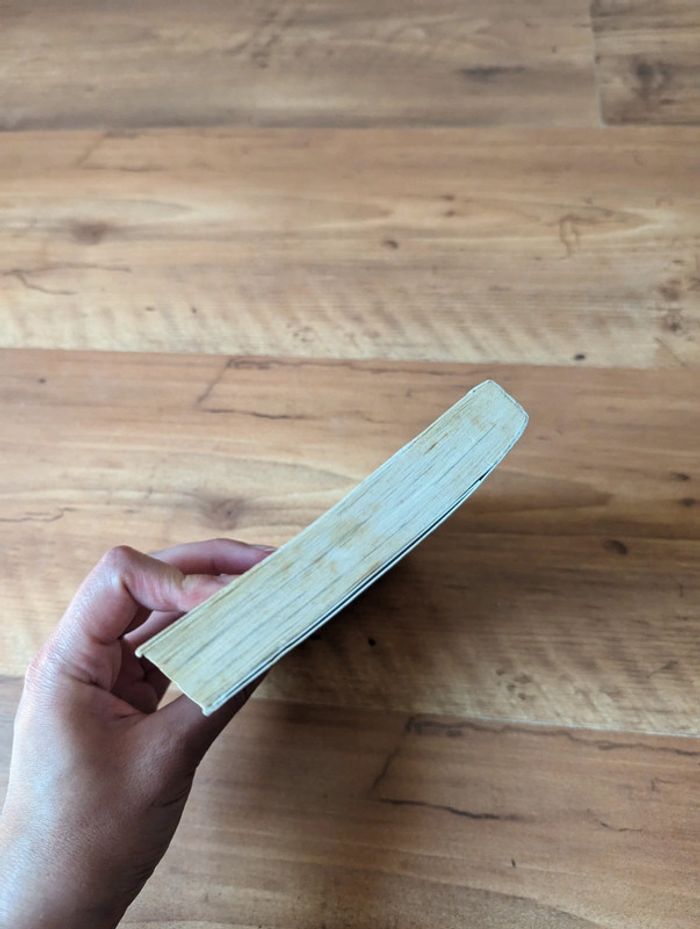 Livre dragonball pastel n°42 - photo numéro 4