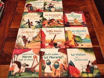 Lot de 11 livres instruments de musique hachette jeunesse