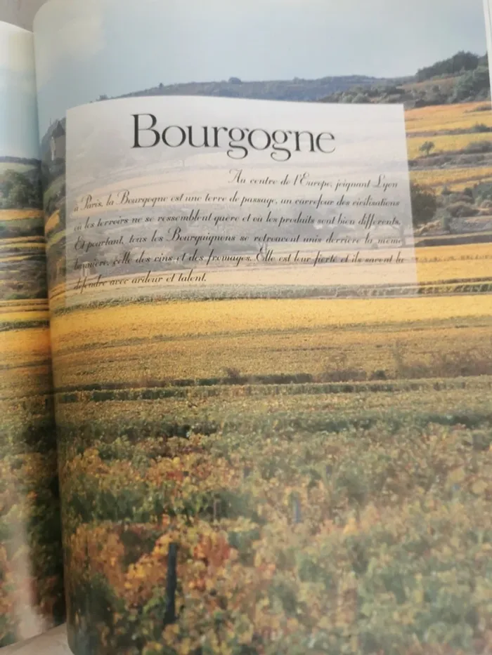 Livre "Saveurs et Terroirs de France - photo numéro 8
