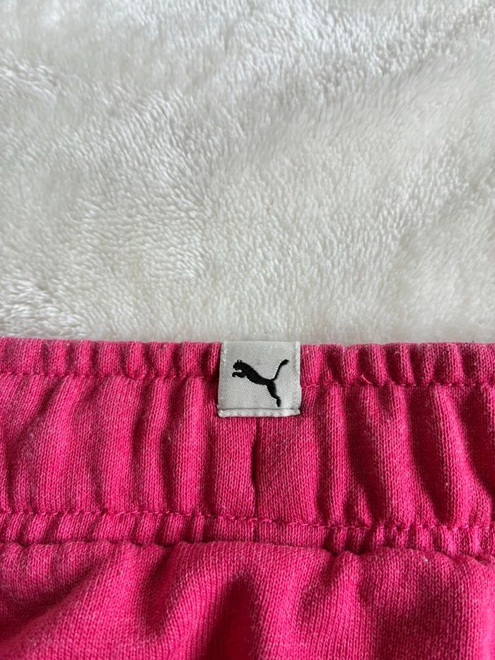 short rose puma - photo numéro 3