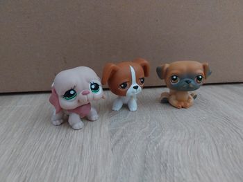 Lot 3 chiens pet shop