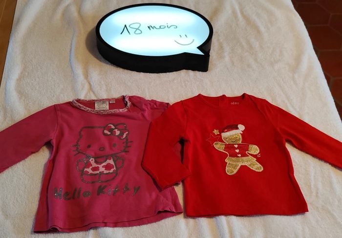 Lot 2 tee-shirt manches longues 18 mois