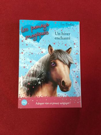 Les poneys magiques tome 7 " Un hiver enchanté "