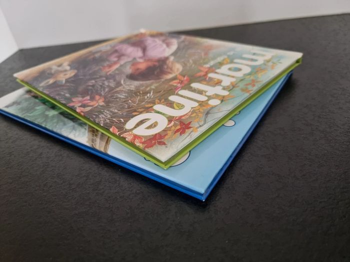 Lot de 2 livres Martine - photo numéro 7