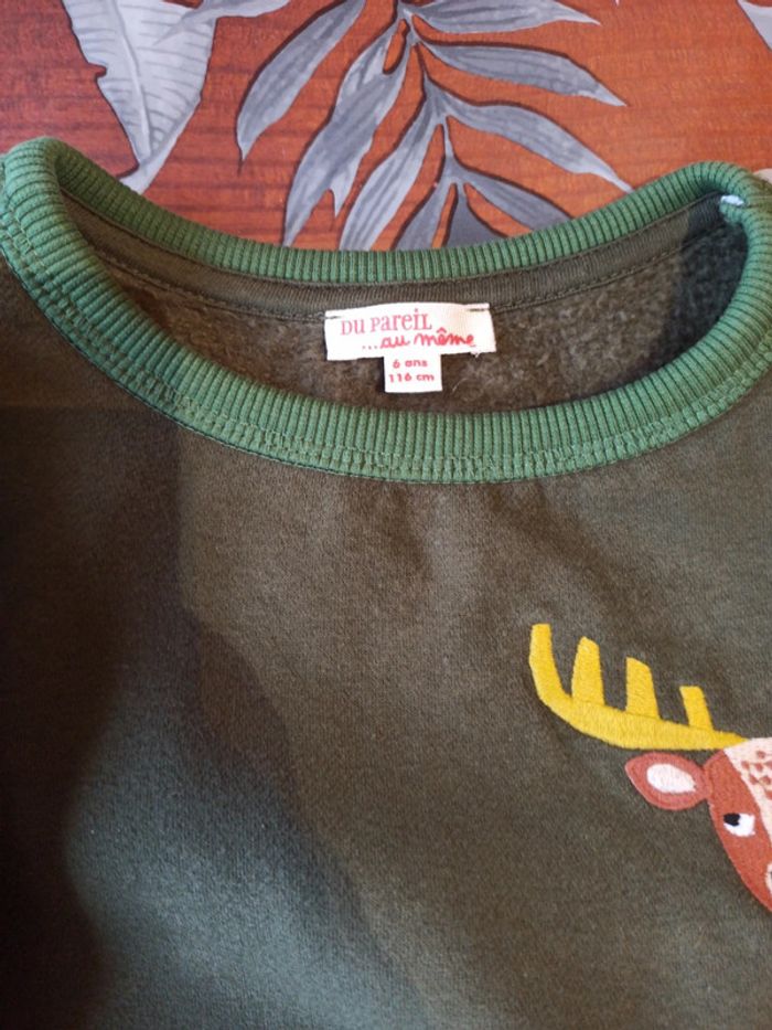 Pull dpam - photo numéro 2