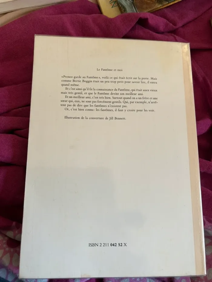 Livre Le fantôme et moi de Catherine sefton - photo numéro 3