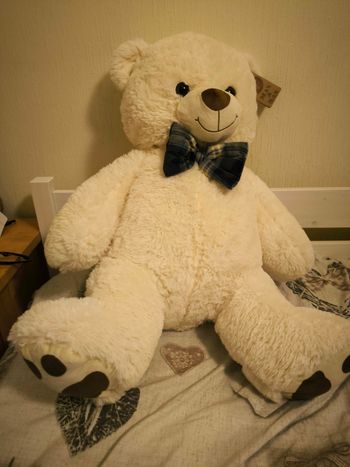 Ours blanc grosse peluche