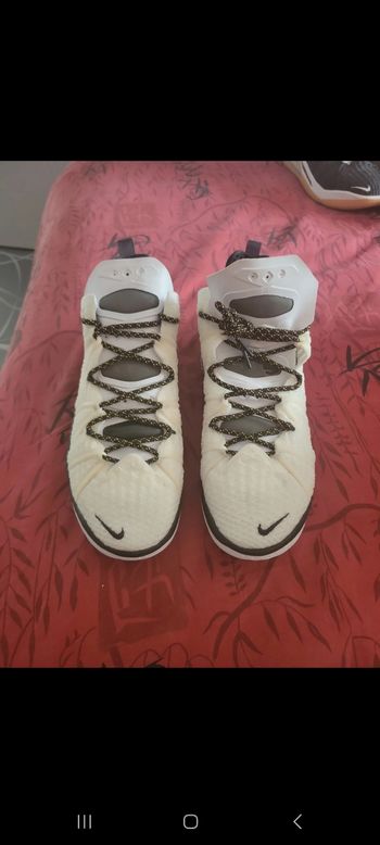 Nike air Lebron 18