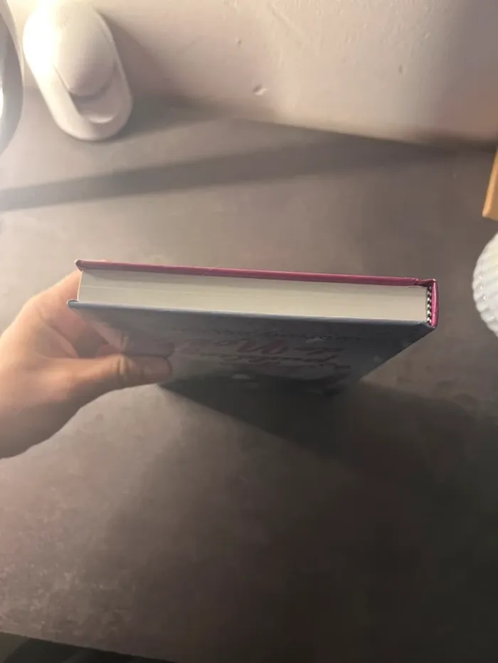 Livre joyeux pudding de noël - photo numéro 6