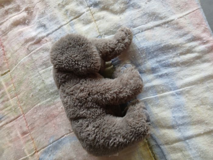 Peluche éléphant