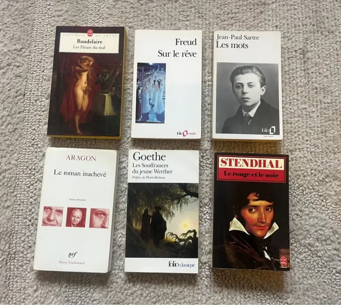 Collection de 18 livres littérature Française - photo numéro 3