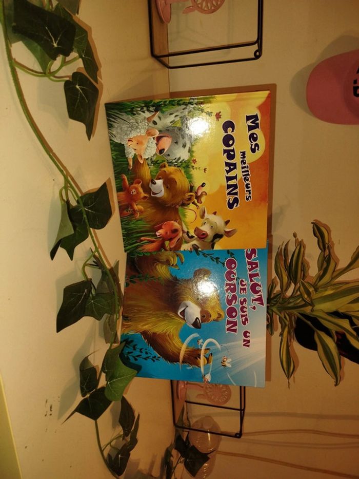 Livre salut les copains lot 2 livres - photo numéro 2