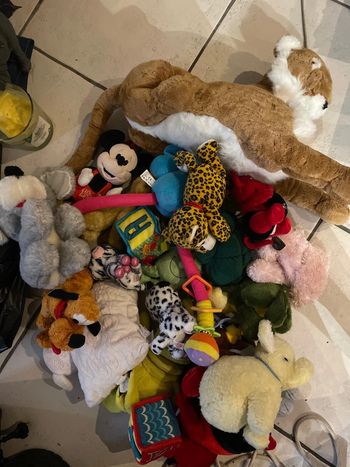 Énorme lot de peluches 🧸
