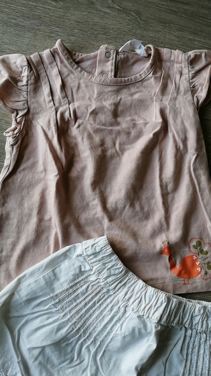 Ensemble t-shirt MC et short 18 mois - photo numéro 2