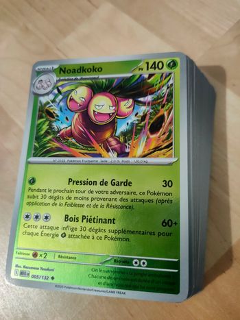 Reverses Méga-Évolution (MEG)