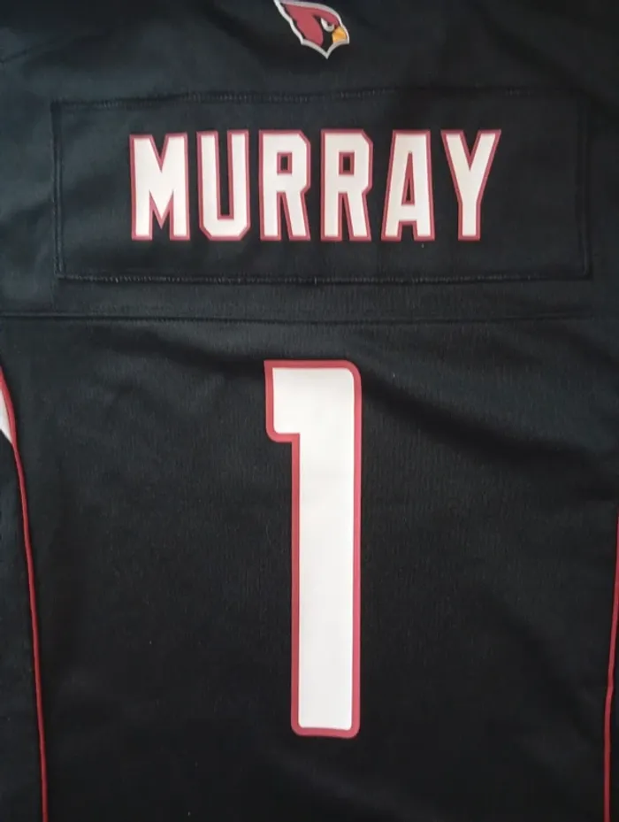 maillot NFL enfant - photo numéro 6