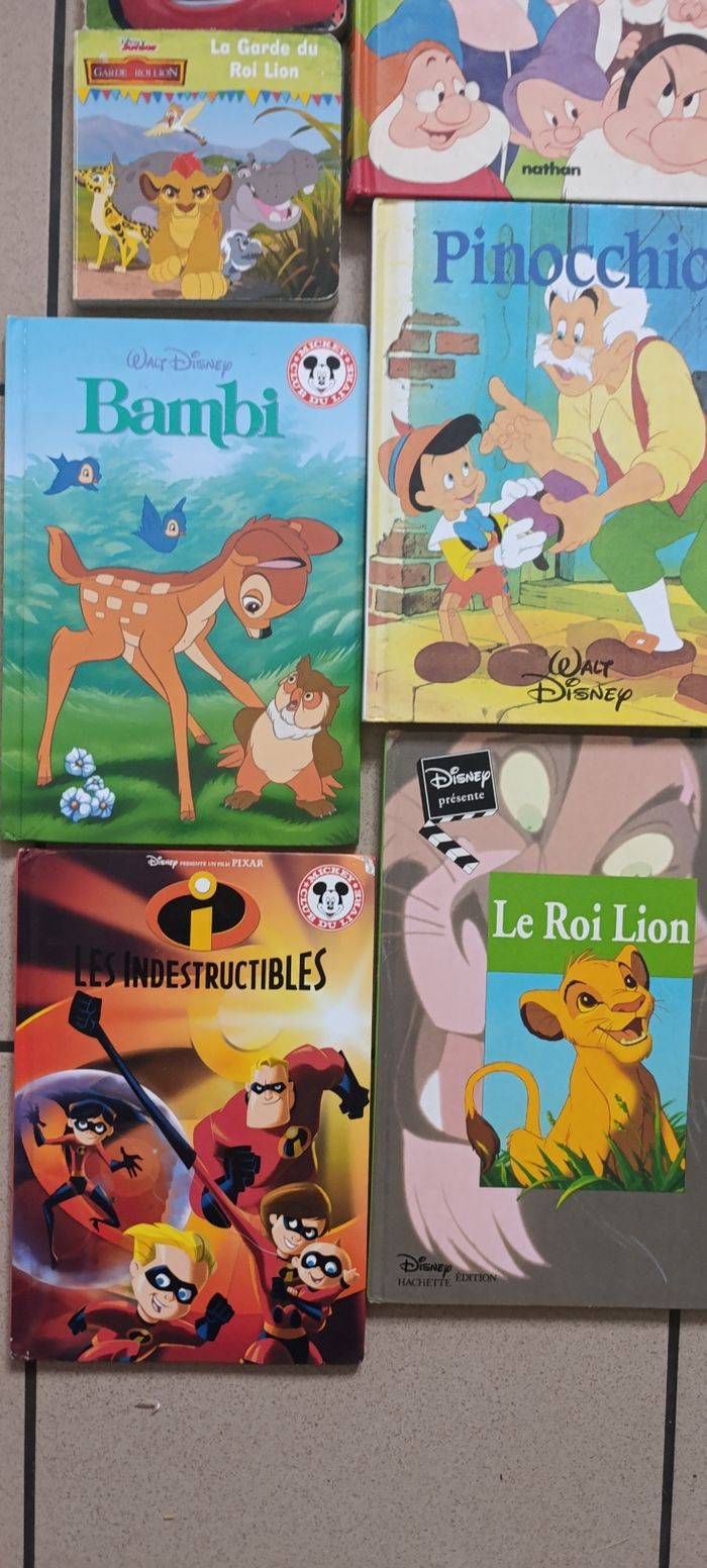 Lot de 11 livres Disney + 3 petits livres offerts - photo numéro 4