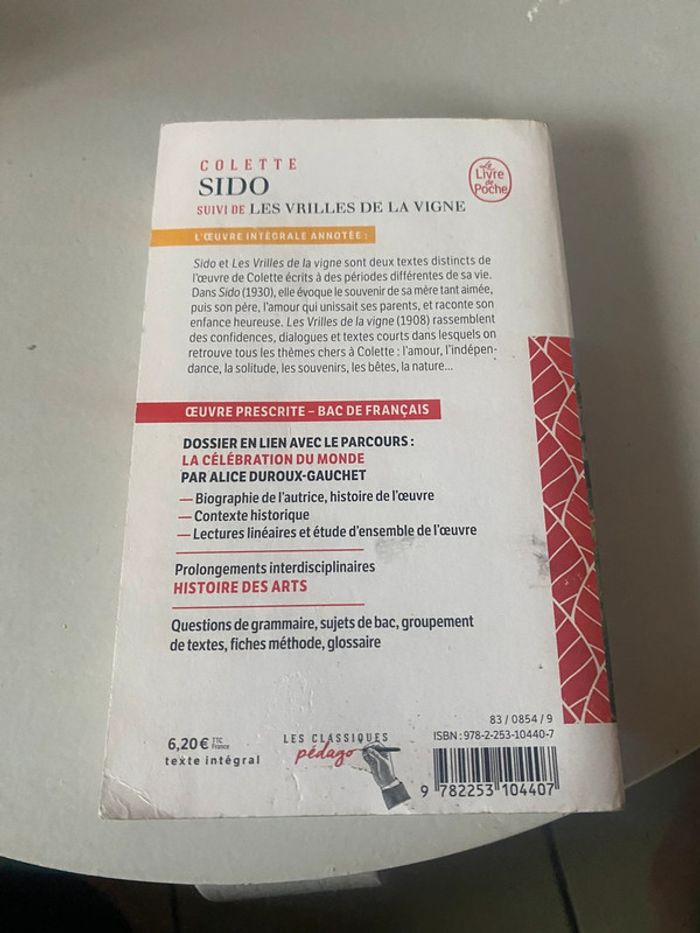 Les vrilles de la vigne - photo numéro 2