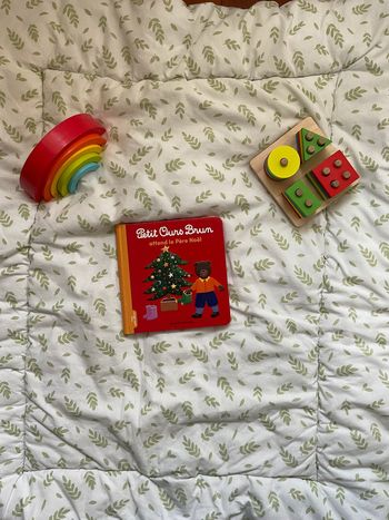 livre petit ours brun attend le père Noël