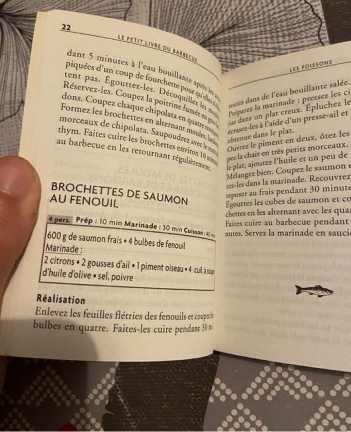 Le petit livre du barbecue - photo numéro 3