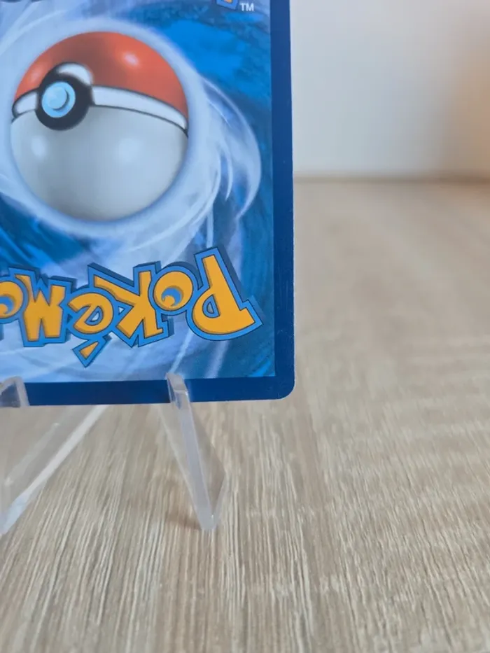 Spinda 141/195 - photo numéro 10