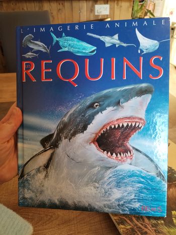 Livre grande imagerie requins 