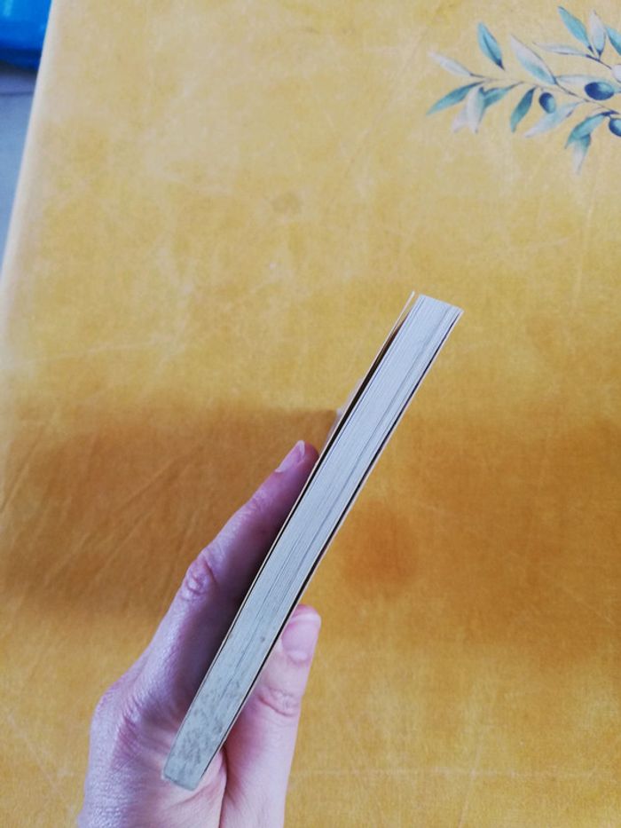 Livre. Vie de Neron. Suetone. Scolaire - photo numéro 5