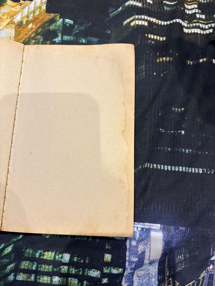 Livre Sam Sally - photo numéro 4