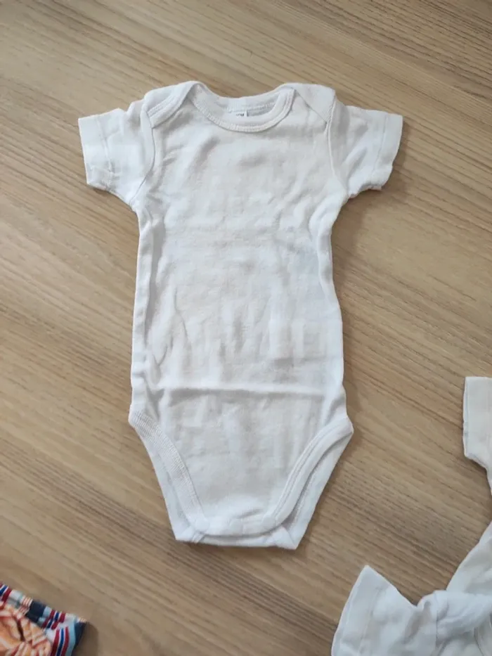 Lot 7 bodies - photo numéro 4