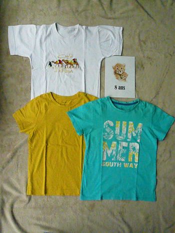 Lot de 3 tee-shirts 8 ans (n°41)