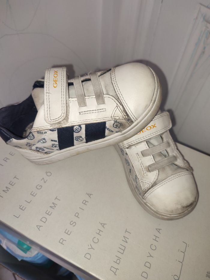 Baskets a scratch - photo numéro 2