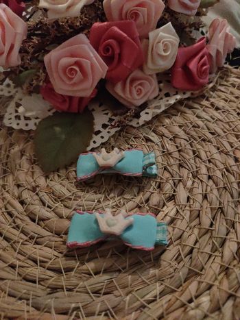 🌿2 pinces à cheveux crocodile🌿