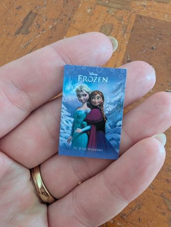 Livre reines des neiges Disney mini brands 