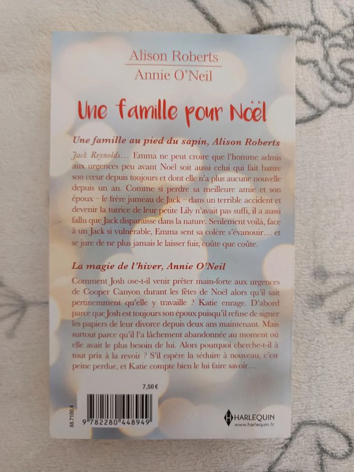 Livre famille noël - photo numéro 2