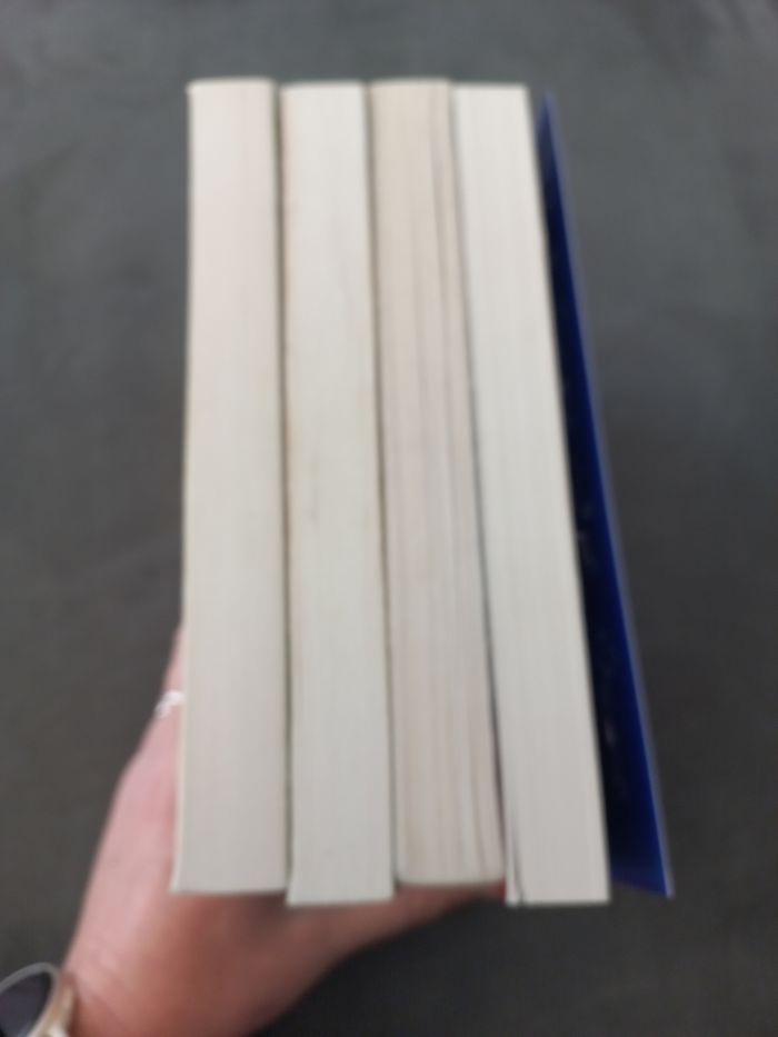 Lot 4 livres journal d'un dégonflé tomeb1 2 3 4 - photo numéro 3