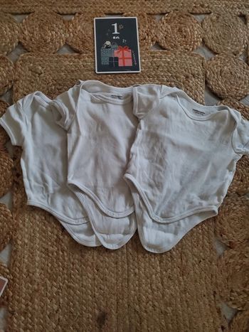 Lot 3 body