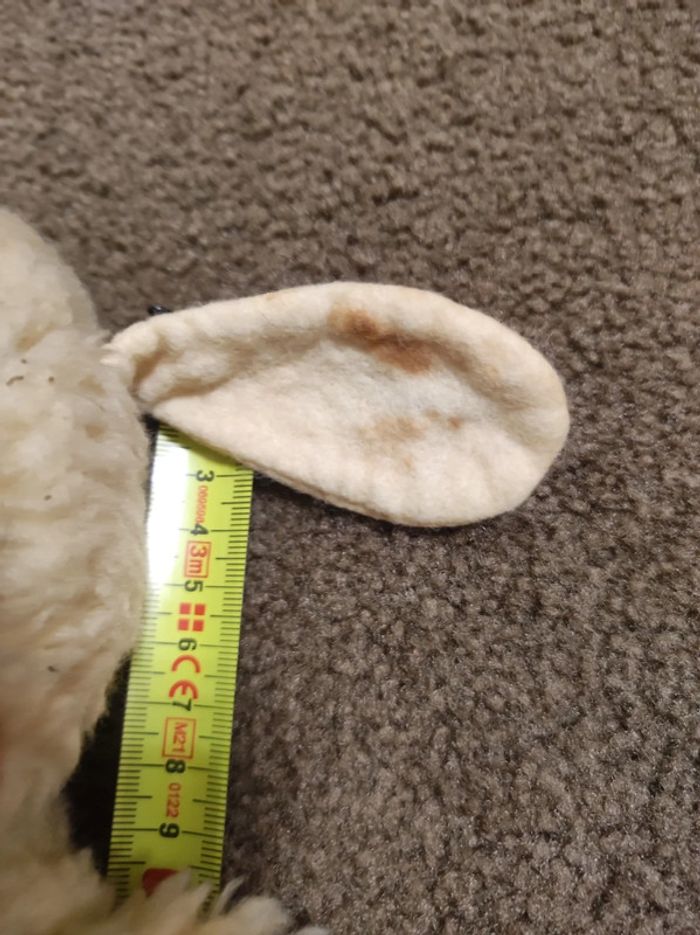 chien style kiki - photo numéro 8