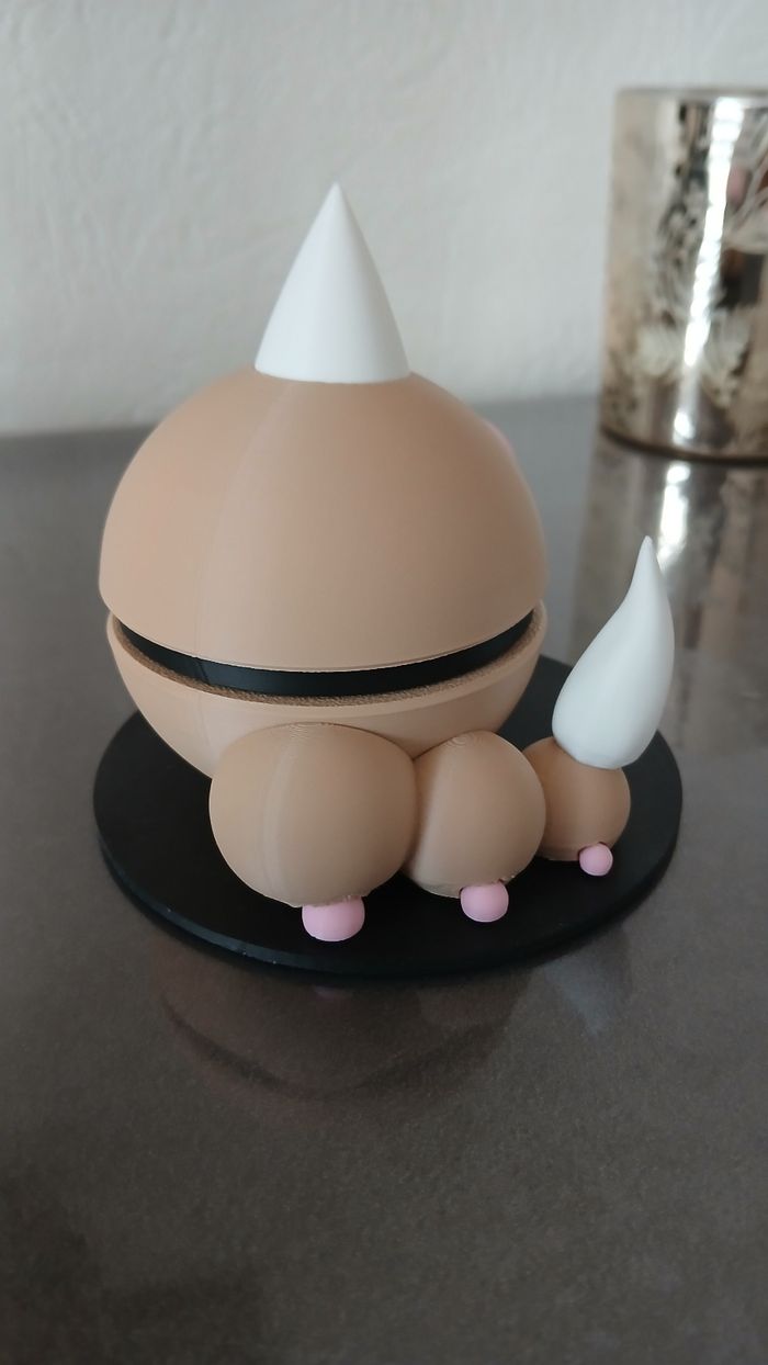 Pokeball Aspicot - photo numéro 3