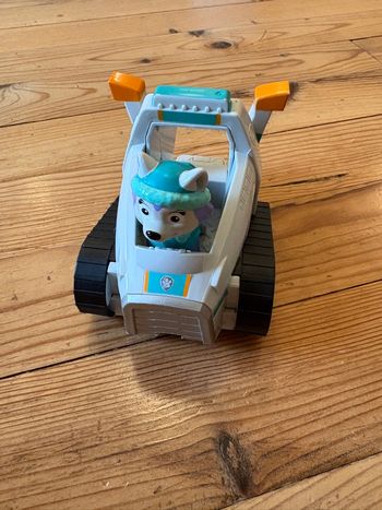 Véhicule pat patrouille evrest