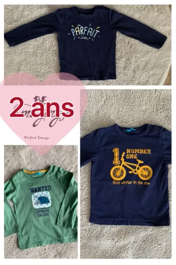 Lot 3 teeshirt longues manches 2 ans