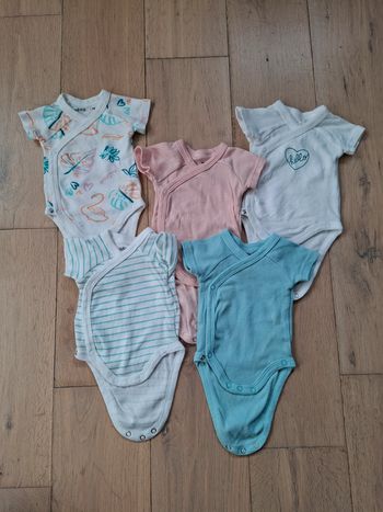 Lot 5 bodies manches courtes 1 mois