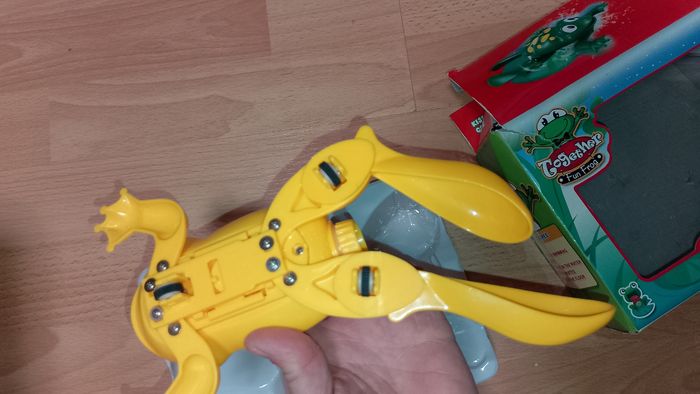 Grenouille bain, piscine - photo numéro 5