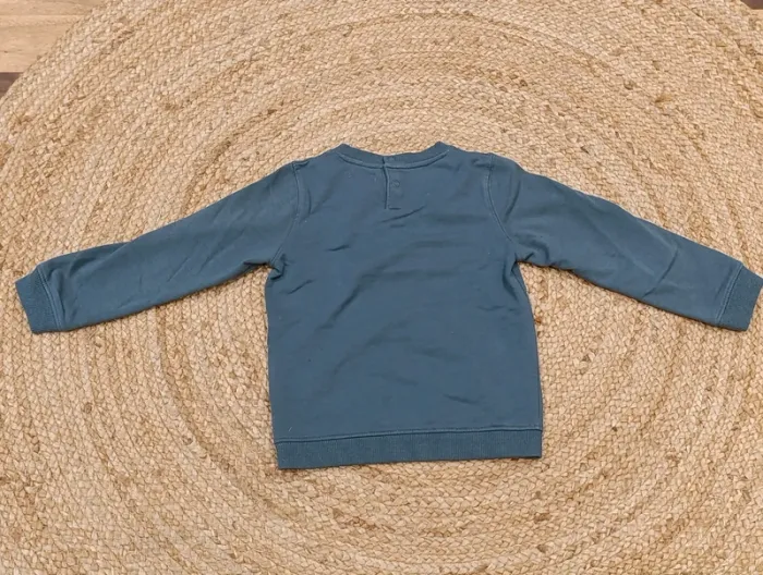 Pull sweat tigre - photo numéro 2